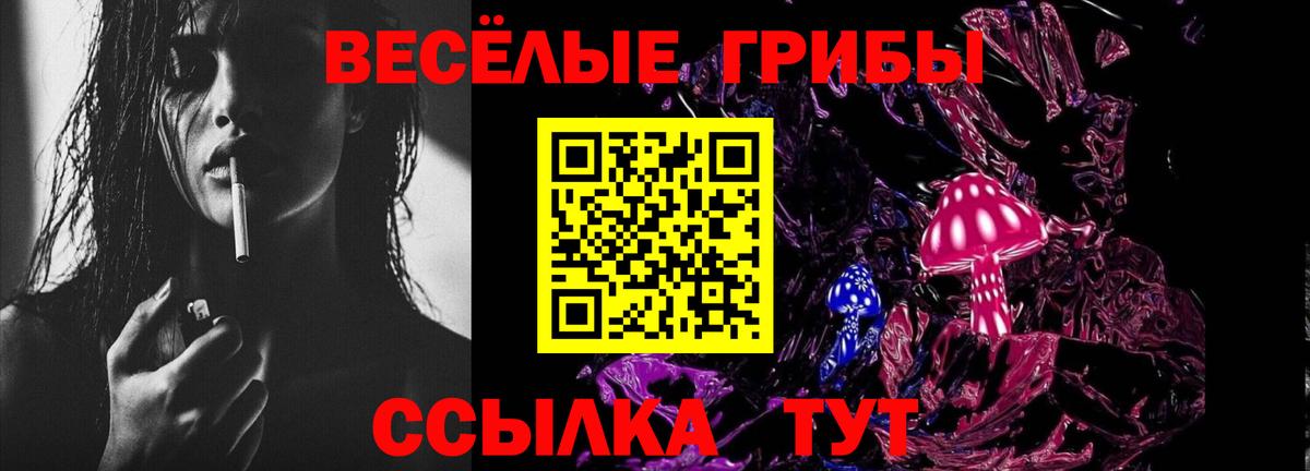 Псилоцибиновые грибы Cubensis  Вход с VPN  Ростов Великий 